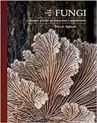 The Lives of Fungi: A Natural History of Our Planet's Decomposers