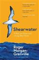 Shearwater: A Bird, an Ocean, and a Long Way Home