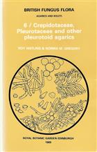 British Fungus Flora Agarics and Boleti 6: Crepidotaceae, Pleurotaceae and other Pleurotoid Agarics