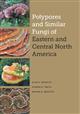 Polypores and Similar Fungi of Eastern and Central North America