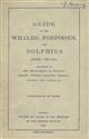 Guide to the Whales, Porpoises, and Dolphins (Order Cetacea), exhibited in the Department of Zoology, British Museum (Natural History)