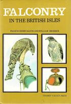 Falconry in the British Isles
