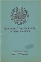 Butterfly Migrations in the Tropics Set E58