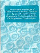 The Functional Morphology of Male Cerci and Associated Characters in 13 Species of Tropical Earwigs (Dermaptera: Forficulidae, Labiidae, Carcinophoridae, Pygidicranidae)