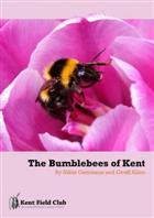 The Bumblebees of Kent