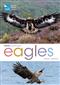 RSPB Spotlight Eagles