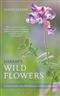 Harrap's Wild Flowers