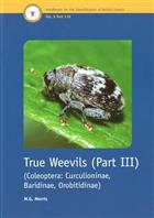 True Weevils 3: Coleoptera: Curculionidae (Curculioninae, Baridinae, Orobitidinae) (Handbooks for the Identification of British Insects 5/17d)