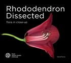 Rhododendron Dissected: Flora in Close-up