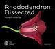 Rhododendron Dissected: Flora in Close-up