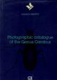 Photographic catalogue of the Genus Carabus