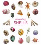 Interesting Shells