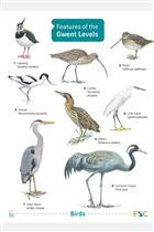 Features of the Gwent Levels (Identification Chart)