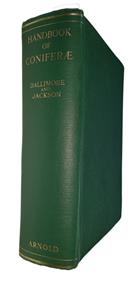 A Handbook of Coniferae and Ginkgoaceae
