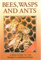 Bees, wasps and ants