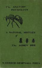 Anatomy, Phisiology and Natural History of the Honey Bee