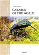 Carabus of the World