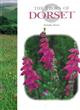 The Flora of Dorset