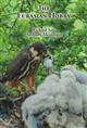 The Eurasian Hobby