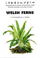 Welsh Ferns, Clubmosses, Quillworts and Horsetails: A descriptive Handbook