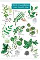Guide to Woodlands: trees, flowers & fungi (Identification Chart)