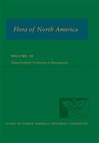 Flora of North America: Vol. 10: Magnoliophyta: Proteaceae to Elaeagnaceae