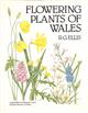 Flowering Plants of Wales