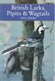 British Larks, Pipits and Wagtails (New Naturalist 78)