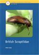 British Scraptiidae (Coleoptera) (Handbooks for the Identification of British Insects 5/18)