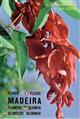 Madeira: Plants and Flowers