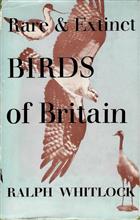 Rare and Extinct Birds of Britain