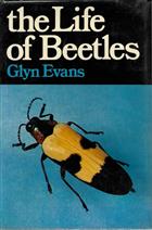 The Life of Beetles