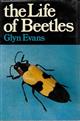 The Life of Beetles