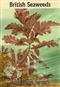 British Seaweeds The Kew Series