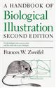 A Handbook of Biological Illustration