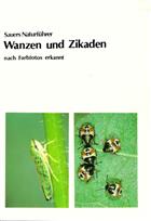 Wanzen und Zikaden nach Farbfotos erkannt