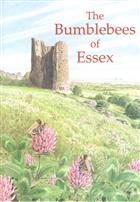 The Bumblebees of Essex