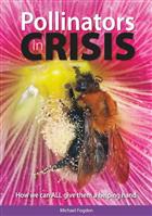 Pollinators in Crisis: How We Can All Give Them a Helping Hand