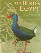The Birds of Egypt