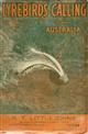 Lyrebirds Calling From Australia