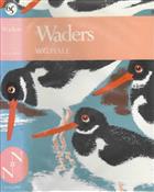 Waders (New Naturalist 65)