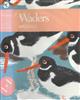 Waders (New Naturalist 65)