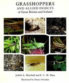 Grasshoppers and Allied Insects of Great Britain and Ireland