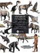 Vertebrate Evolution: From Origins to Dinosaurs and Beyond