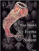 Art Forms in Nature The Prints of Ernst Haeckel