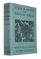 Eggs and Nests of British Birds