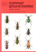 Common Ground Beetles (Naturalists' Handbooks 8)