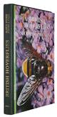 British Hoverflies: An Illustrated Identification Guide