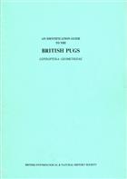 An identification guide to the British Pugs: Lepidoptera: Geometridae