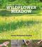 How to make a wildflower meadow: Tried-And-Tested Techniques for New Garden Landscapes